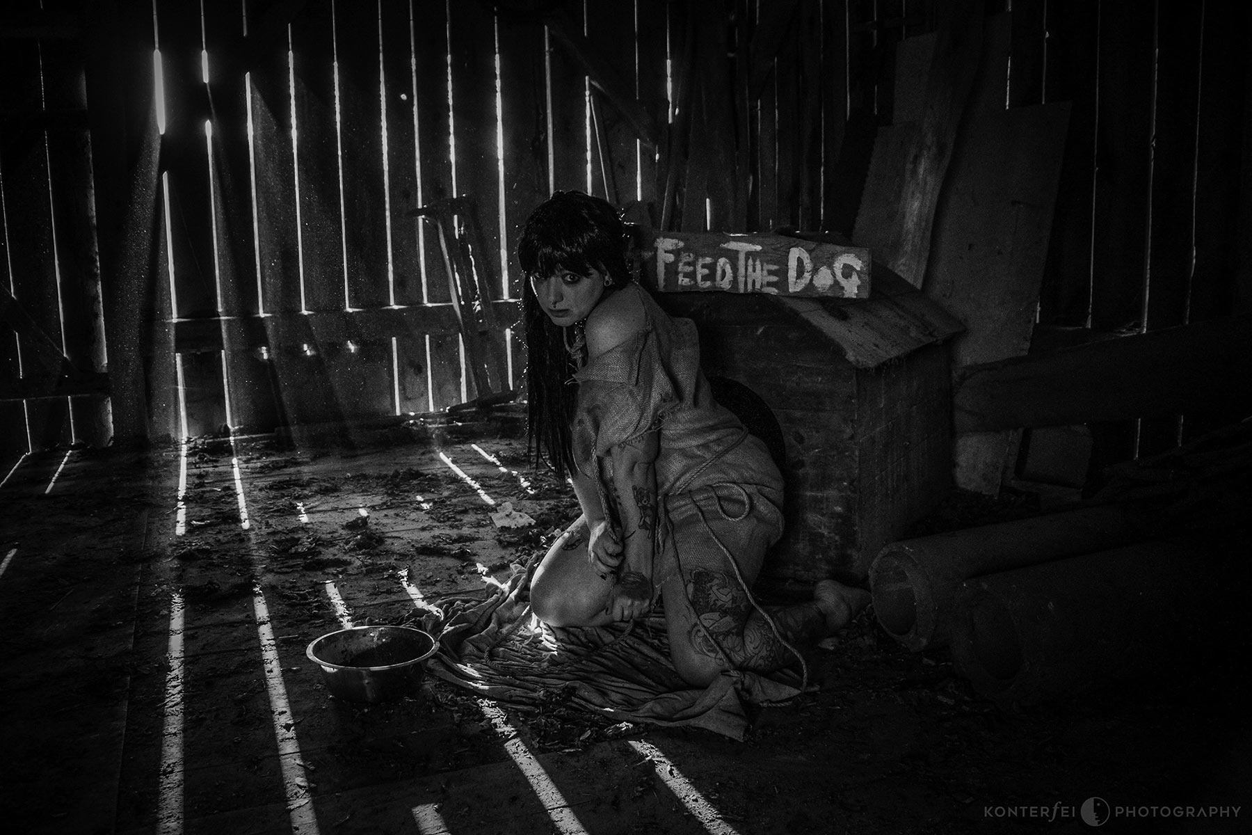 Don't feed the Dog | Dark Art | Photography
